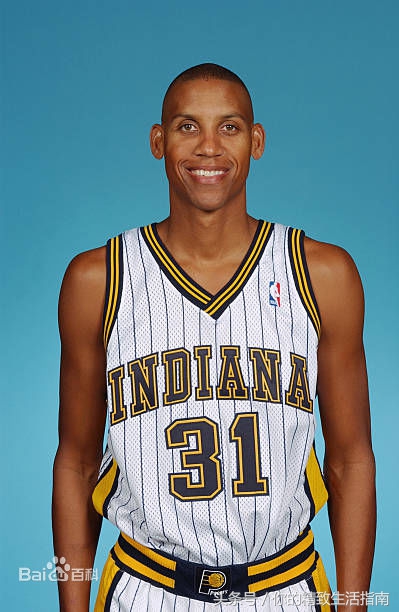 国民党主席 国民党主席