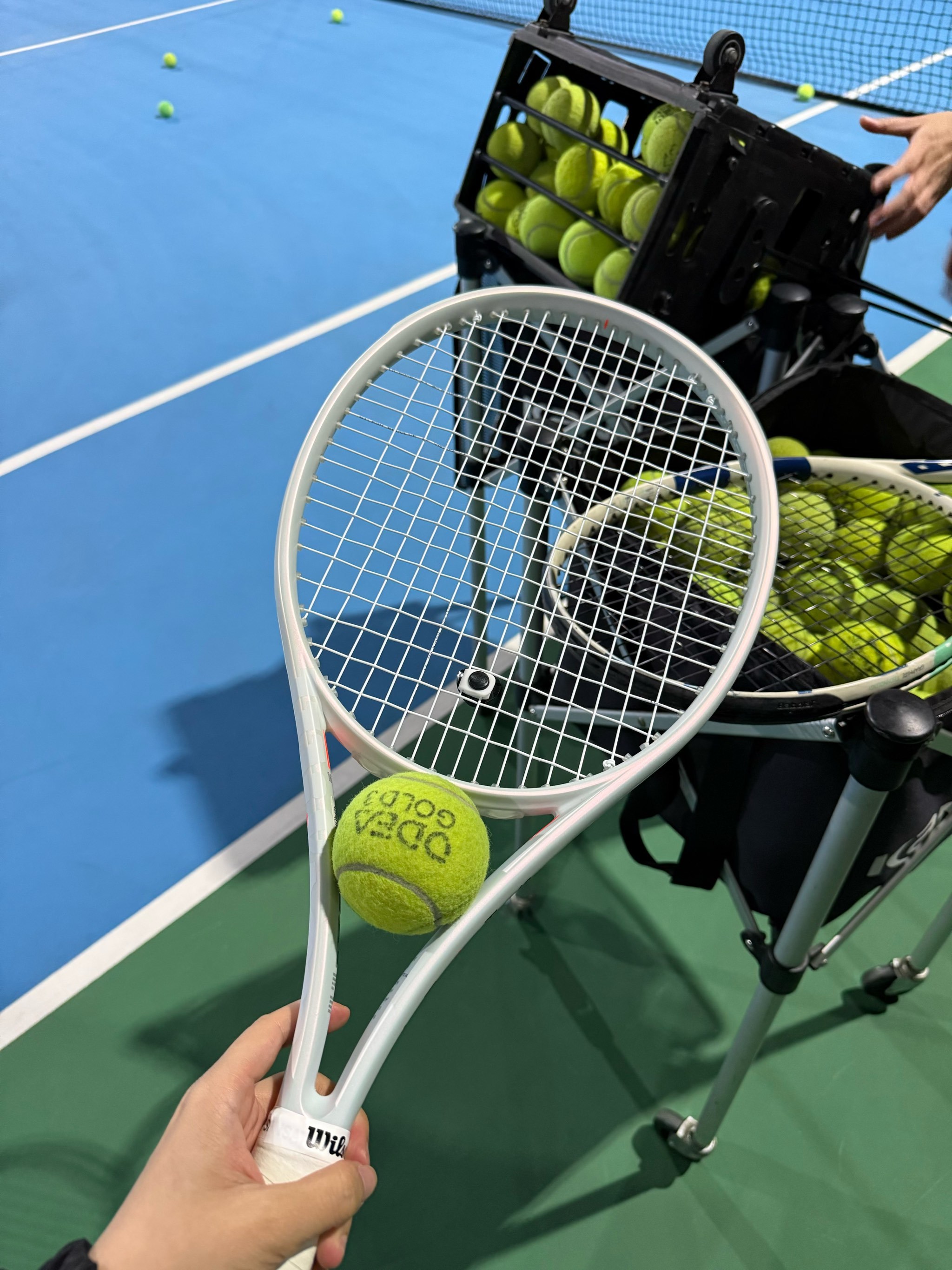 运动员的拼 运动员的拼